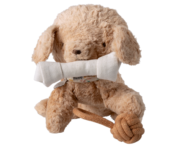 Accesorios para mascotas - juguetes
