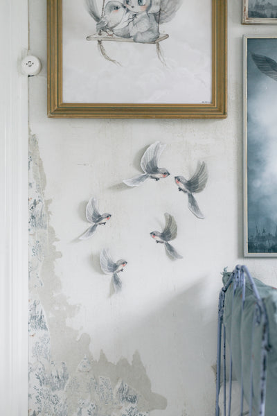 Oh Birds - Miss Coppelia